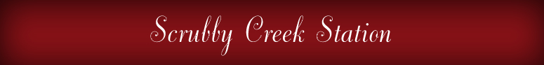 Scrubby Creek Station